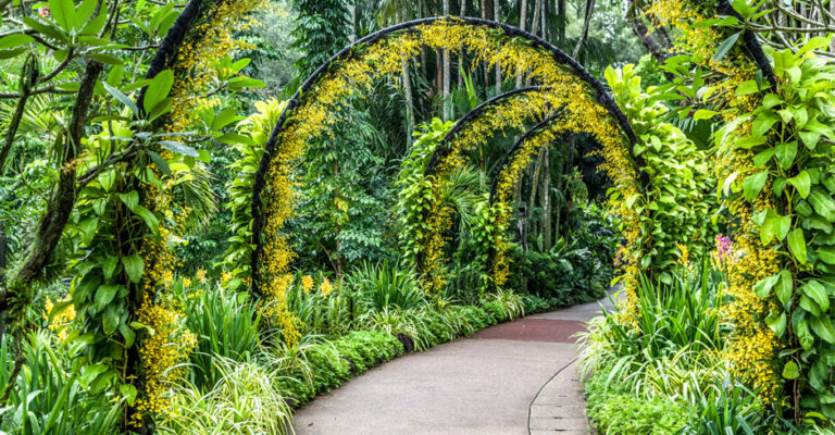 China’s second national botanical garden unveiled in Guangdong