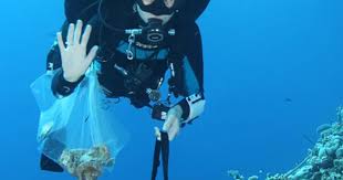 Sanya in S China sees steady progress of coral reef protection
