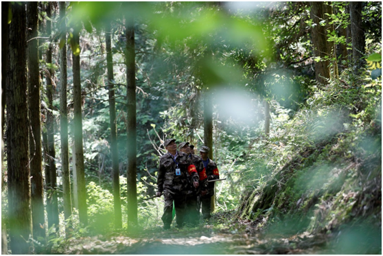 The “forest chief” scheme leads to lusher mountains in central China’s Hunan province