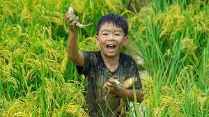 China invests more in water conservancy projects in past decade