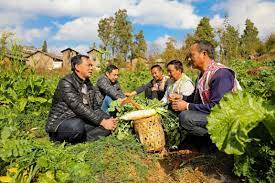China playing prominent role in coping with global challenges