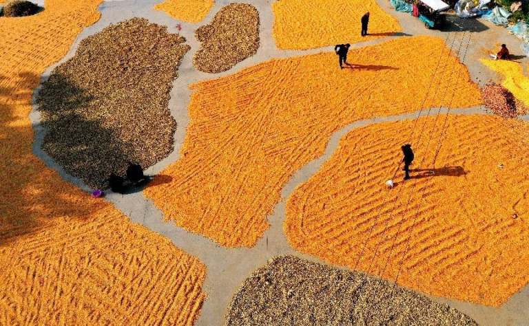 China celebrates fifth Chinese farmers’ harvest festival