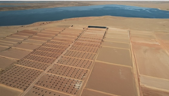 Saline-alkali soil turned into valuable assets in Ningxia Hui autonomous region