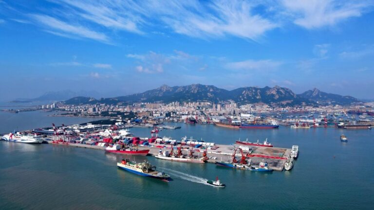 Overseas warehouses bring Chinese commodities to wider foreign markets