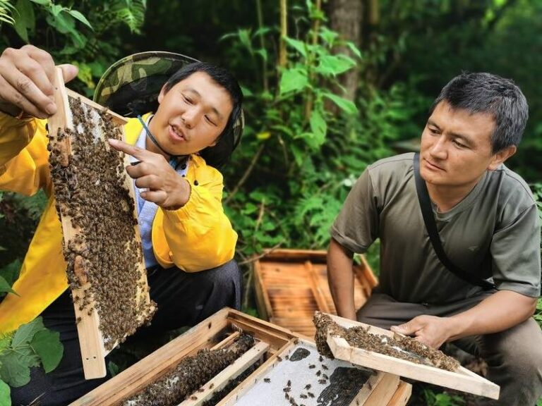 China enhances efforts to promote biodiversity conservation