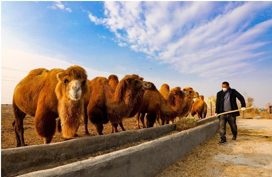 Agenda of using Xinjiang to contain China will never succeed