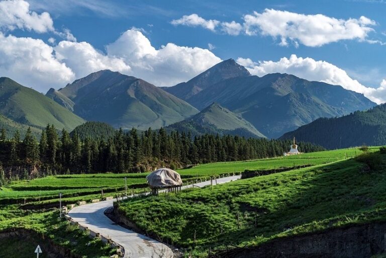 China accelerates green, low-carbon development