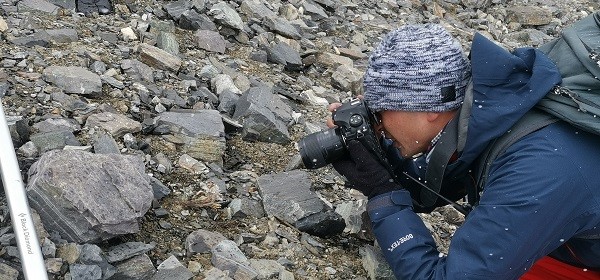 Story behind re-germination of seeds collected on Mount Qomolangma