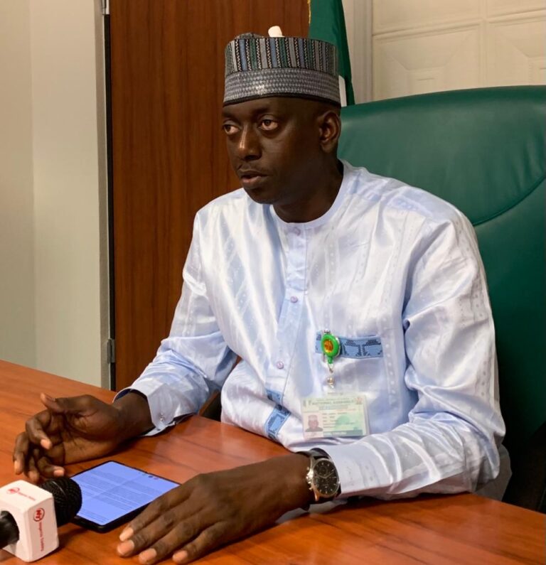 Chinese Companies Absolved of Blame for Illegal Mining in Nigeria, Says Hon Jaafar