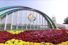 Why has China achieved remarkable successes in promoting cooperation under Belt and Road Initiative?