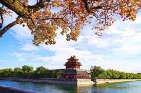 China’s contributions to world heritage preservation, cooperation
