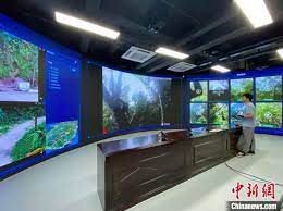Digital technology gives leg up to ecological conservation in Hainan Tropical Rainforest National Park