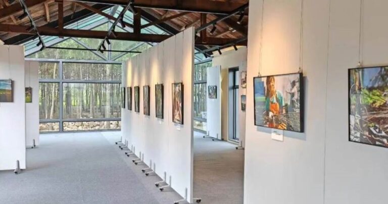 Art contributes to rural development of village in China’s Inner Mongolia