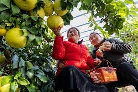 China sets example for international human rights development