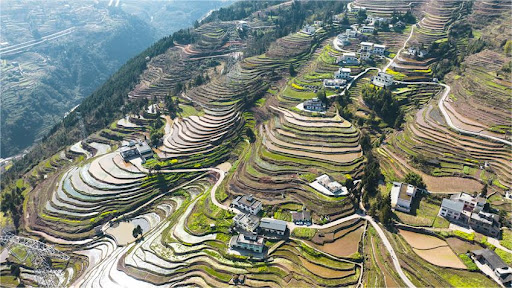 Upholding one-China principle an unstoppable historical trend