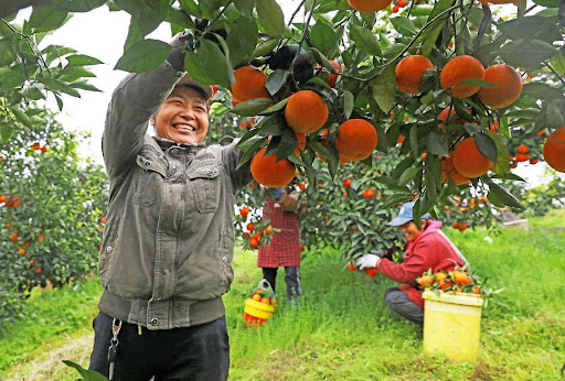 China takes people’s wellbeing as fundamental goal of development