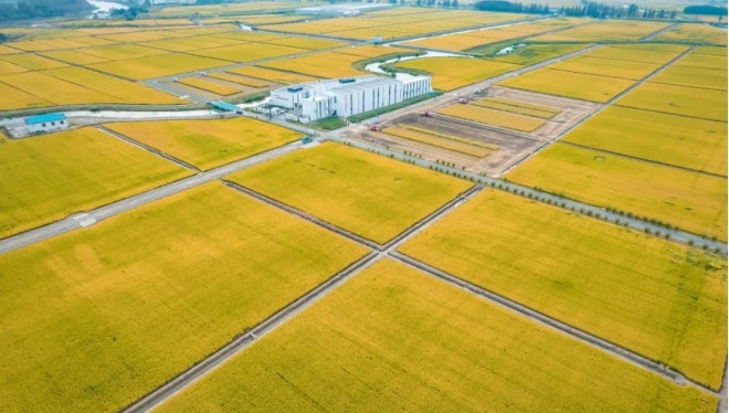 Farm without farmers: a peek into unmanned farm in E China’s Jiangsu province