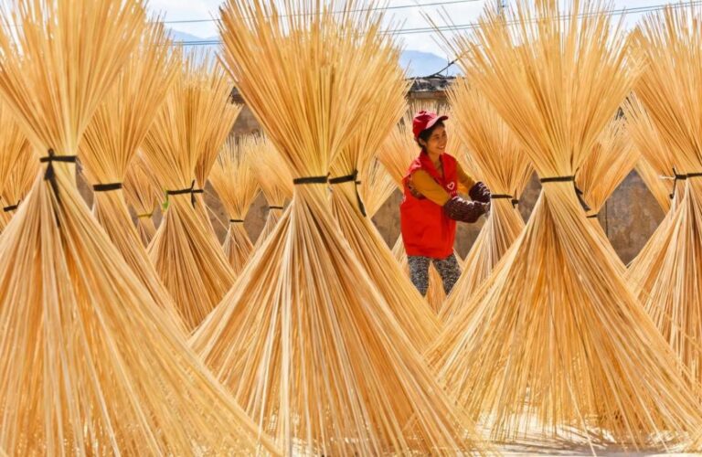 County in China embraces high-quality development of bamboo industry
