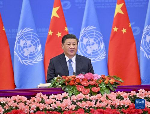 To carry forward Five Principles of Peaceful Coexistence, build new type of international relations