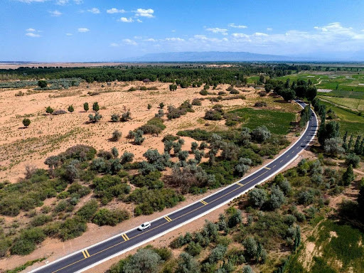 Chinese wisdom in battle against desertification