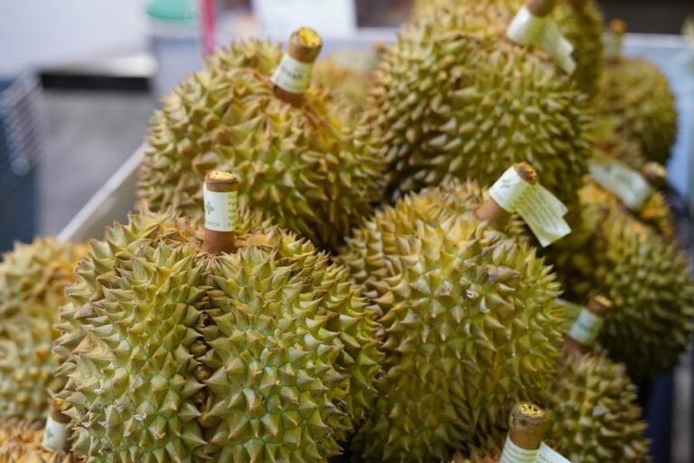 More fruits around world find way into Chinese market as China expands opening-up efforts
