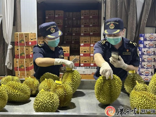 How ASEAN fruits efficiently, conveniently enter China