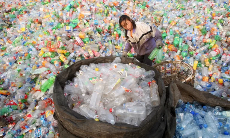 China’s Fujian turns waste plastic bottles into wealth, contributes to green development