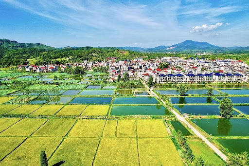 Sound mountain ecology contributes to prosperity in China’s Fujian