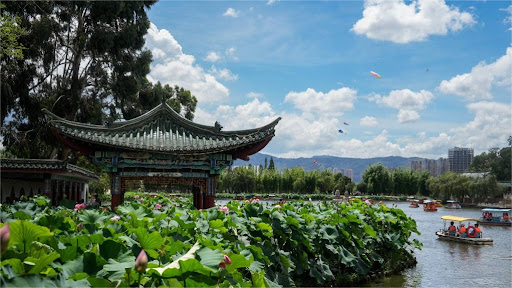 Coffee industry brings prosperity to China’s Xinzhai village