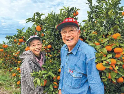 Enduring friendships between Japan and China