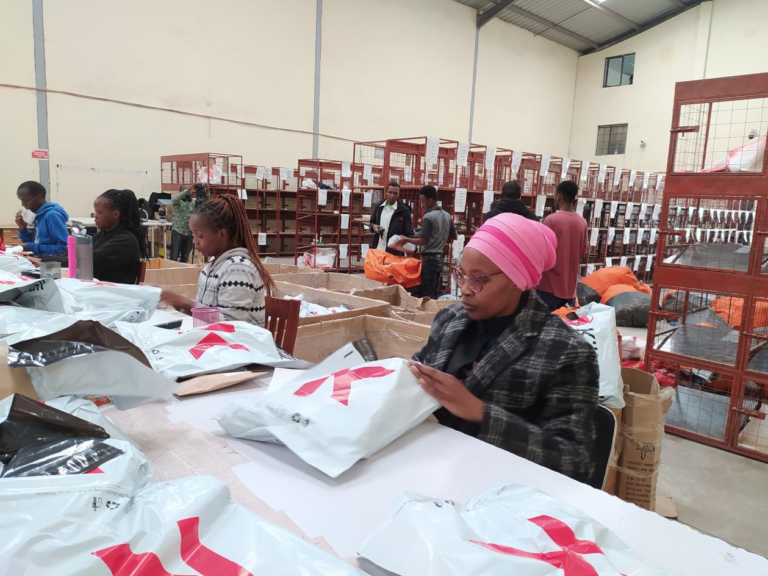 China works to accelerate e-commerce development of Africa