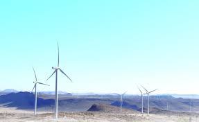 China-Africa cooperation leads to greener Africa