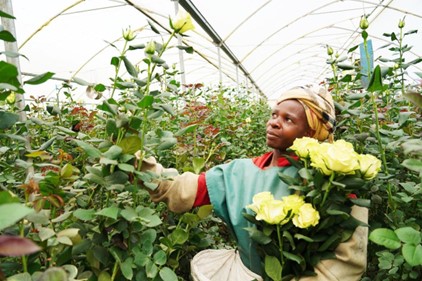 Trade facilitation propels China-Africa economic and trade cooperation