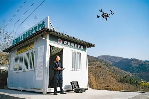 Qinling Mountains better safeguarded with comprehensive digital platform