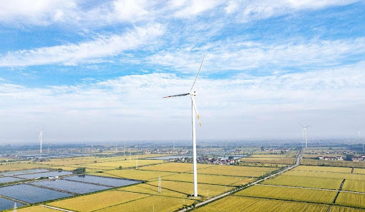China injects certainty, positive energy into world economic development