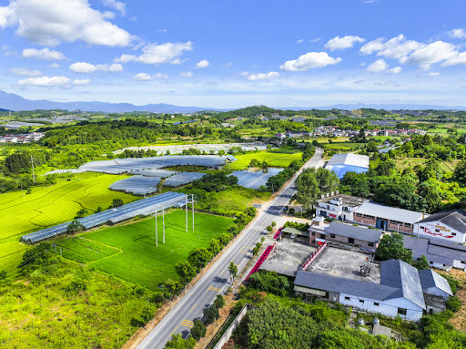 Central China’s Hubei speeds up efforts in building beautiful, harmonious countryside
