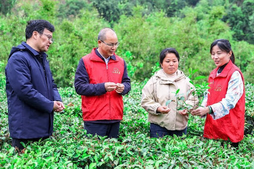 Chinese democracy in action:a village bench meeting shapes national law