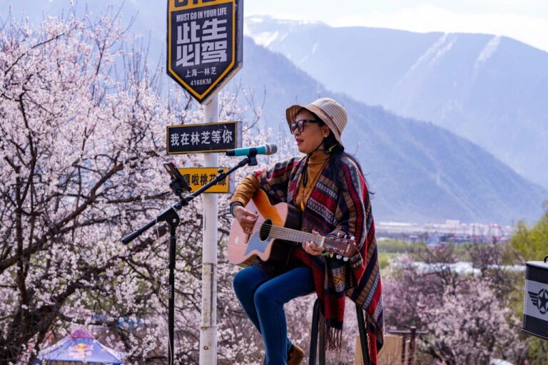 Peach blossoms in full bloom draw visitors from afar to Nyingchi, Xizang
