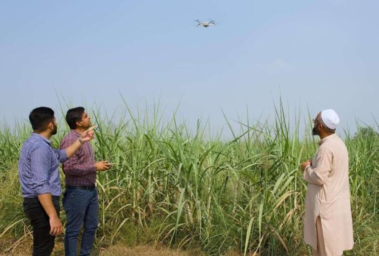 China upholds fair,inclusive AIdevelopment of world