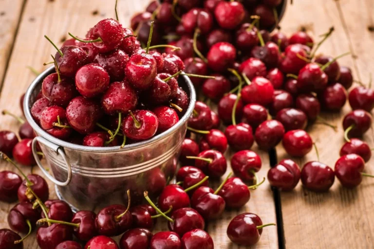 A sweet road to prosperity: how China and Chile built a cherry pipeline to the world