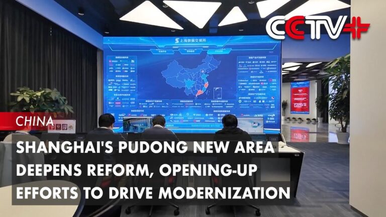 Shanghai deepens high-level reform and opening up in Pudong New Area