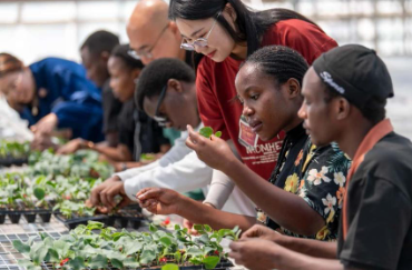 China, Africa working together toward dream of modernization
