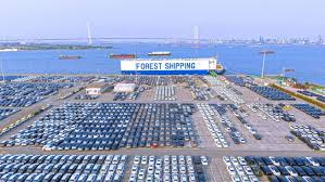 China’s port economy powers ahead with strong momentum