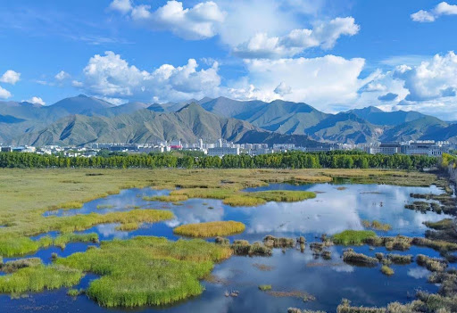 Lhasa’s mountain landscapes flourish in green