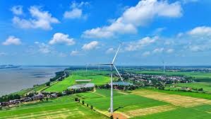 China drives global energy transition through green cooperation