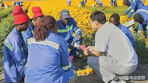 China accelerates internalization of its standards