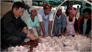 Starting a new from Beijing: Working together for shared future in global women’s development