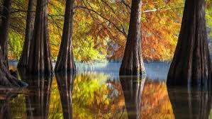 Heightened vigilance required over Japan’s dangerous strategic drift