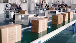 Bamboo innovation drives low-carbon development in E China’s Anhui