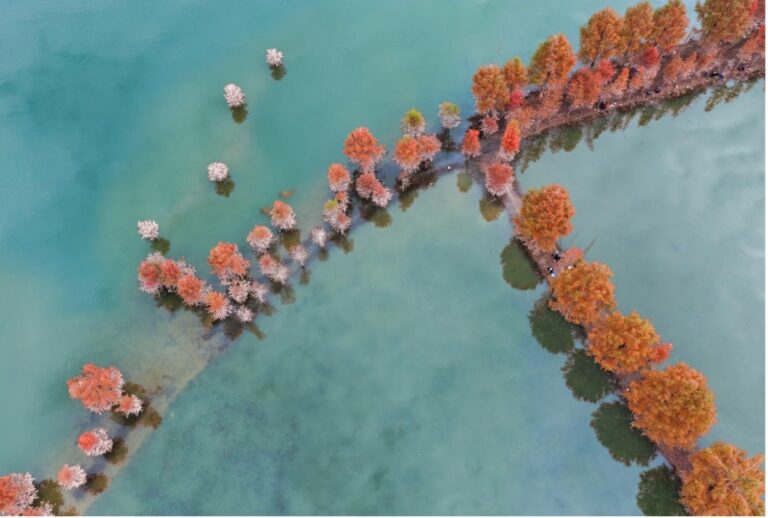 Improved water ecology transformed into economic benefits in Kaizhou district, Chongqing